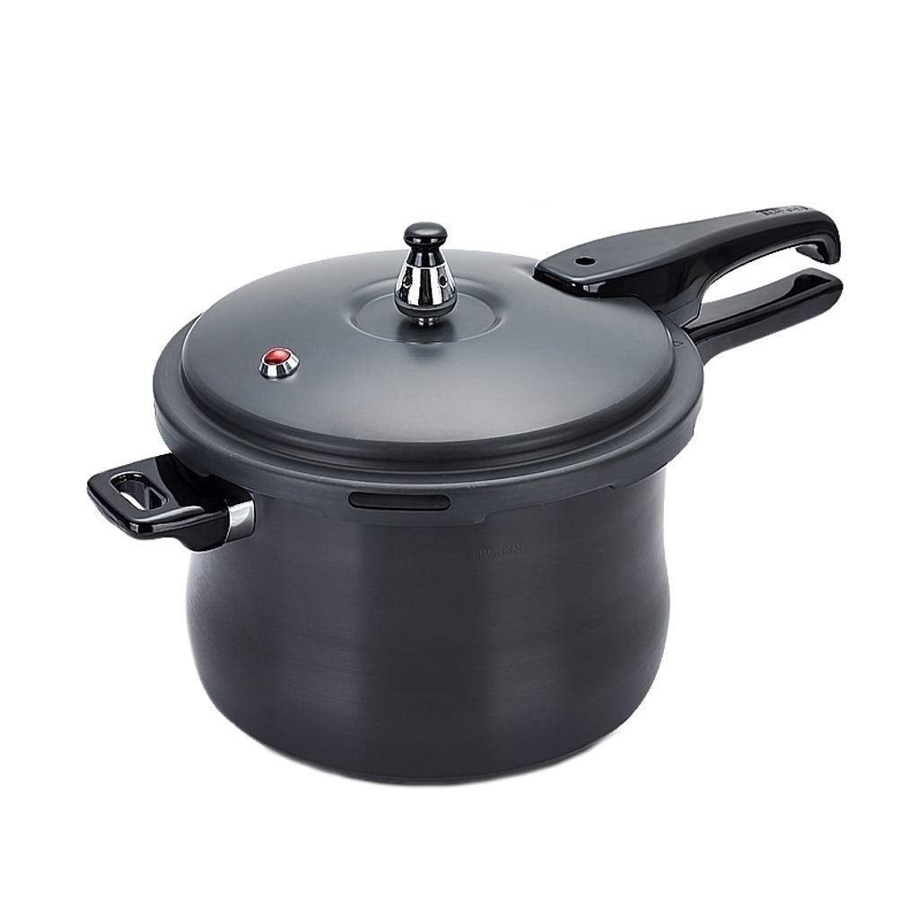 Black 3L Stainless Steel Pressure Cooker W284