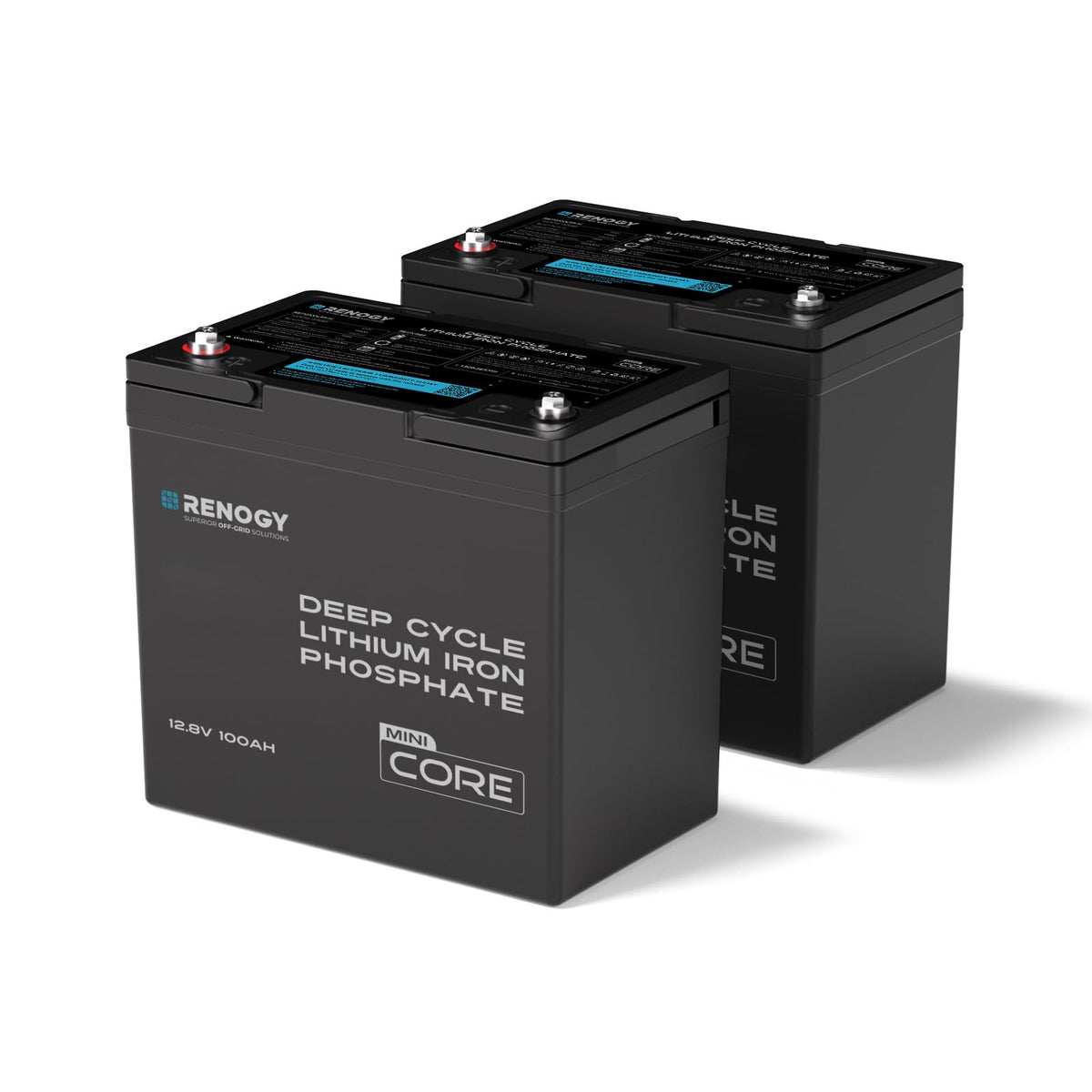 12V 100Ah Mini Size LiFePO4 Lithium Battery F861440