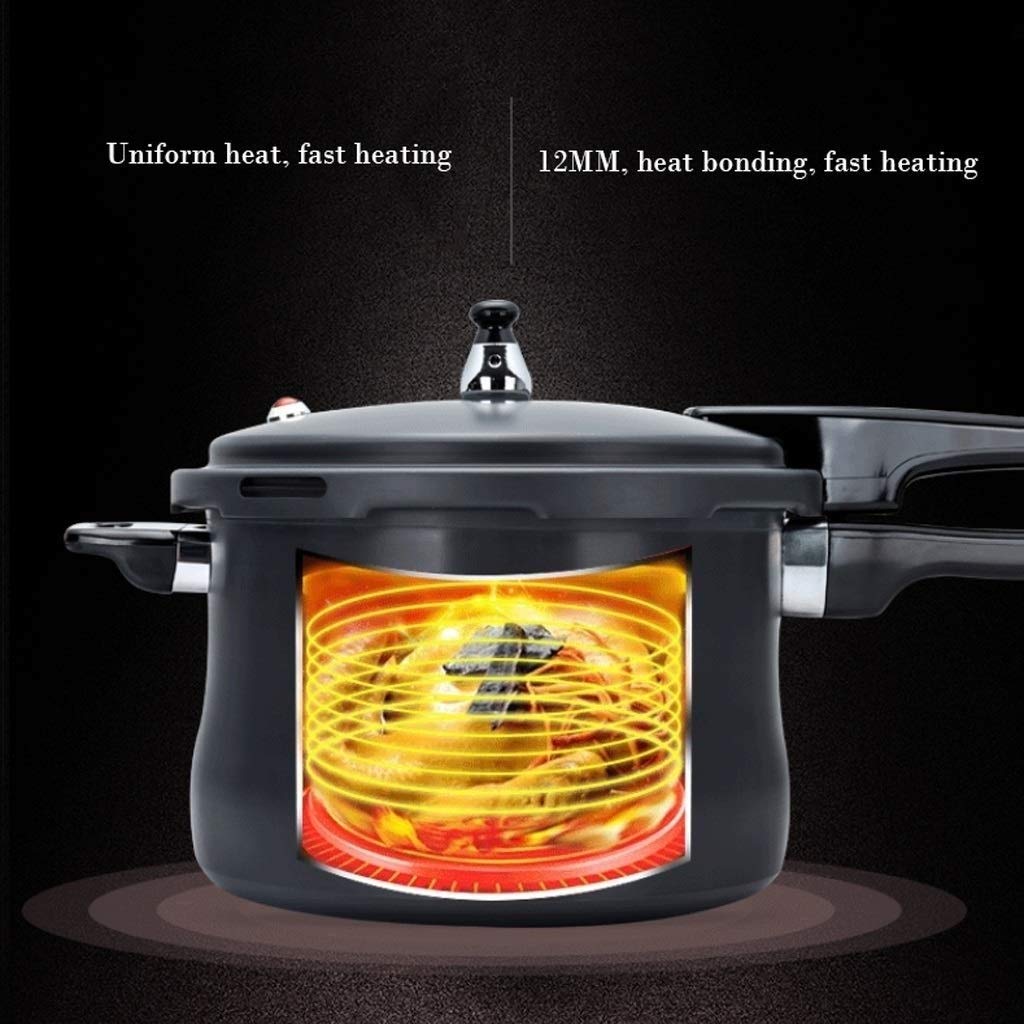 Black 3L Stainless Steel Pressure Cooker W284