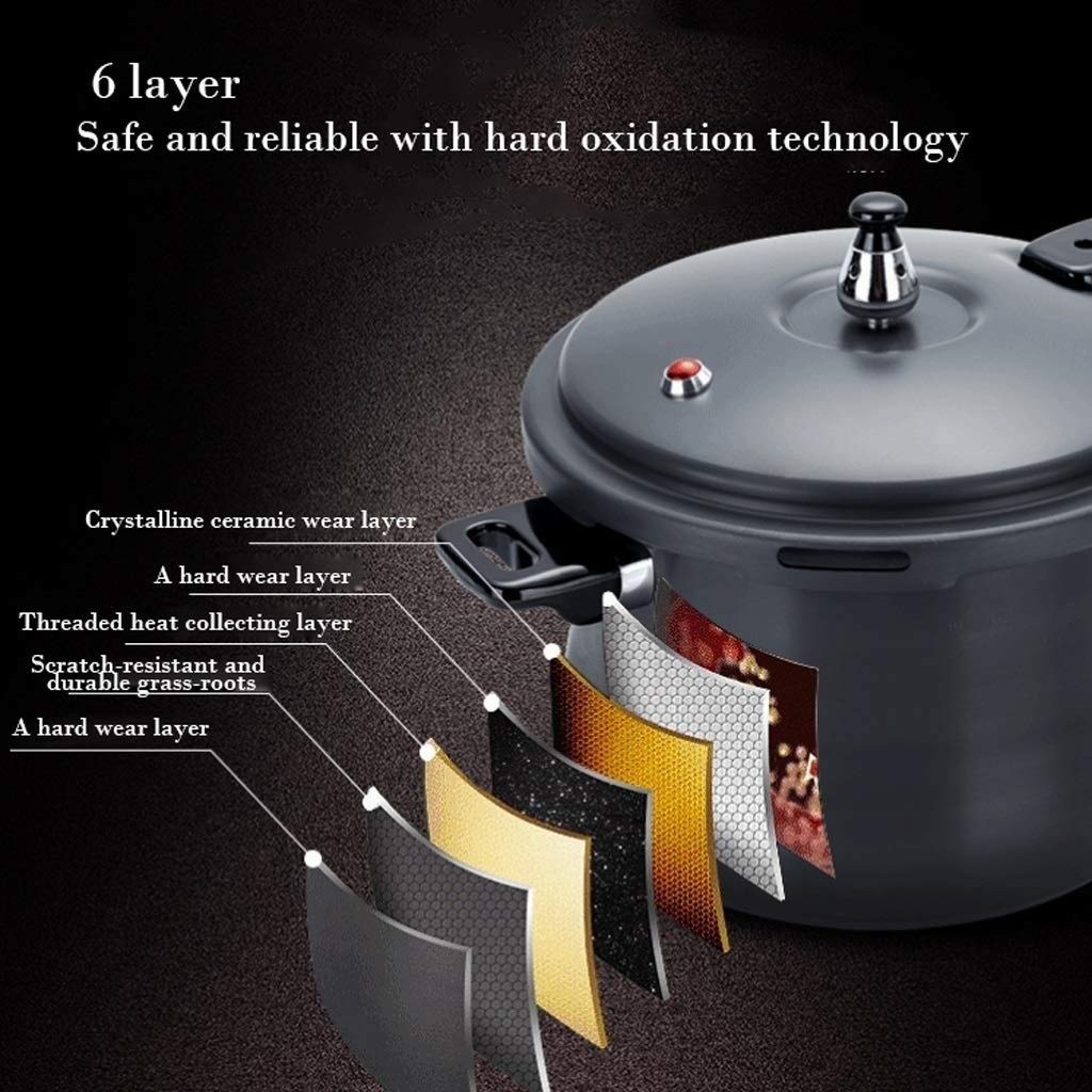 Black 3L Stainless Steel Pressure Cooker W284