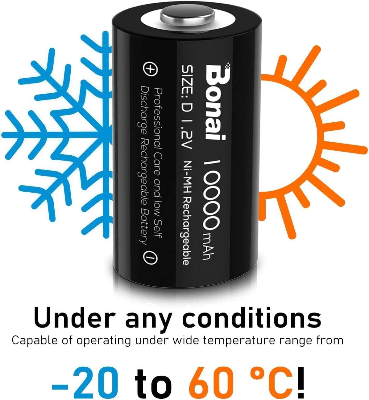 Rechargeable D Batteries 4 Pack O23456
