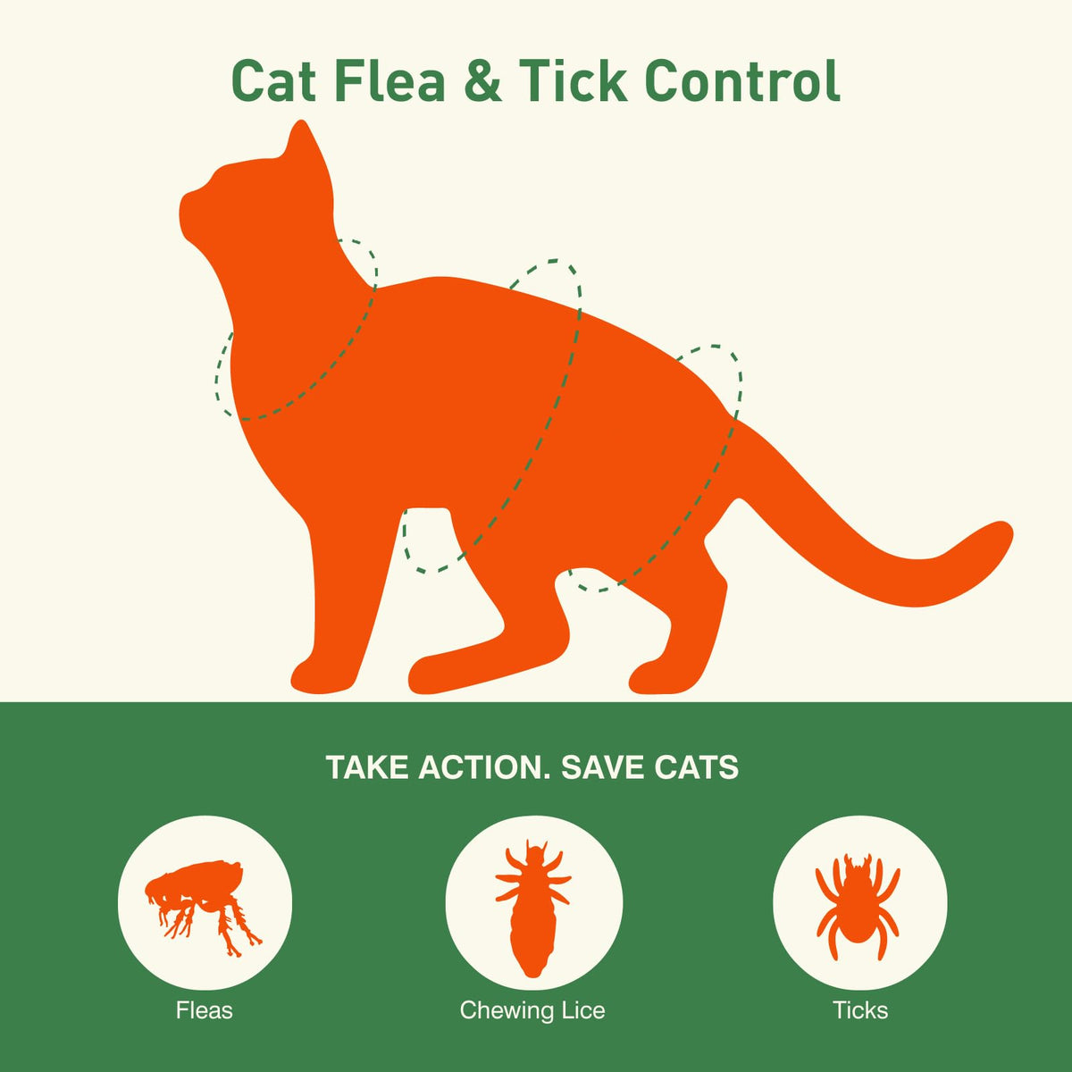 6 Pack Flea and Tick Prevention for Cats Y540360
