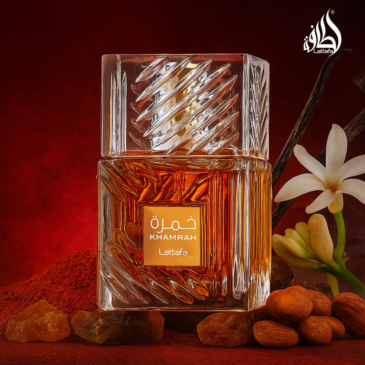 Vanilla Warm Spicy Amber Cinnamon Eau de Parfum 3.40 Ounce / 100 ml W493