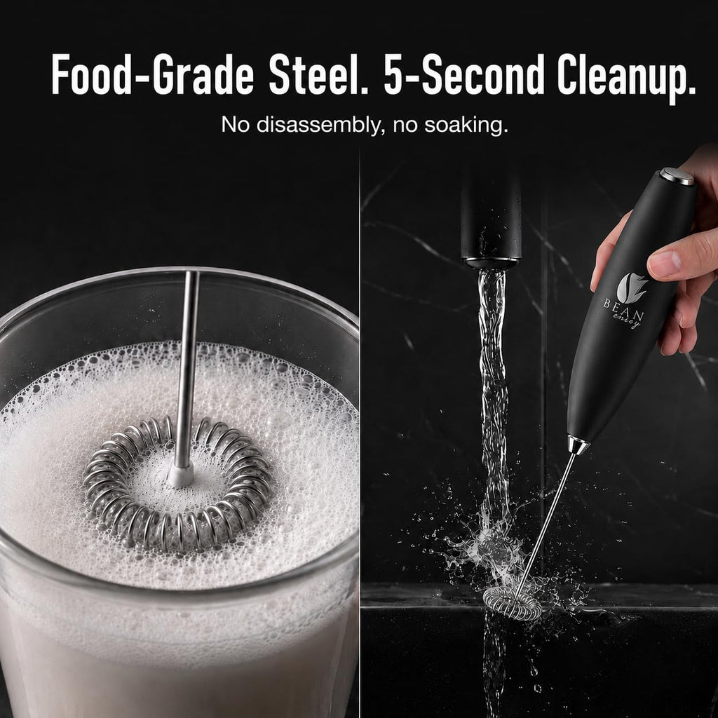 Black Handheld Milk Frother M1901