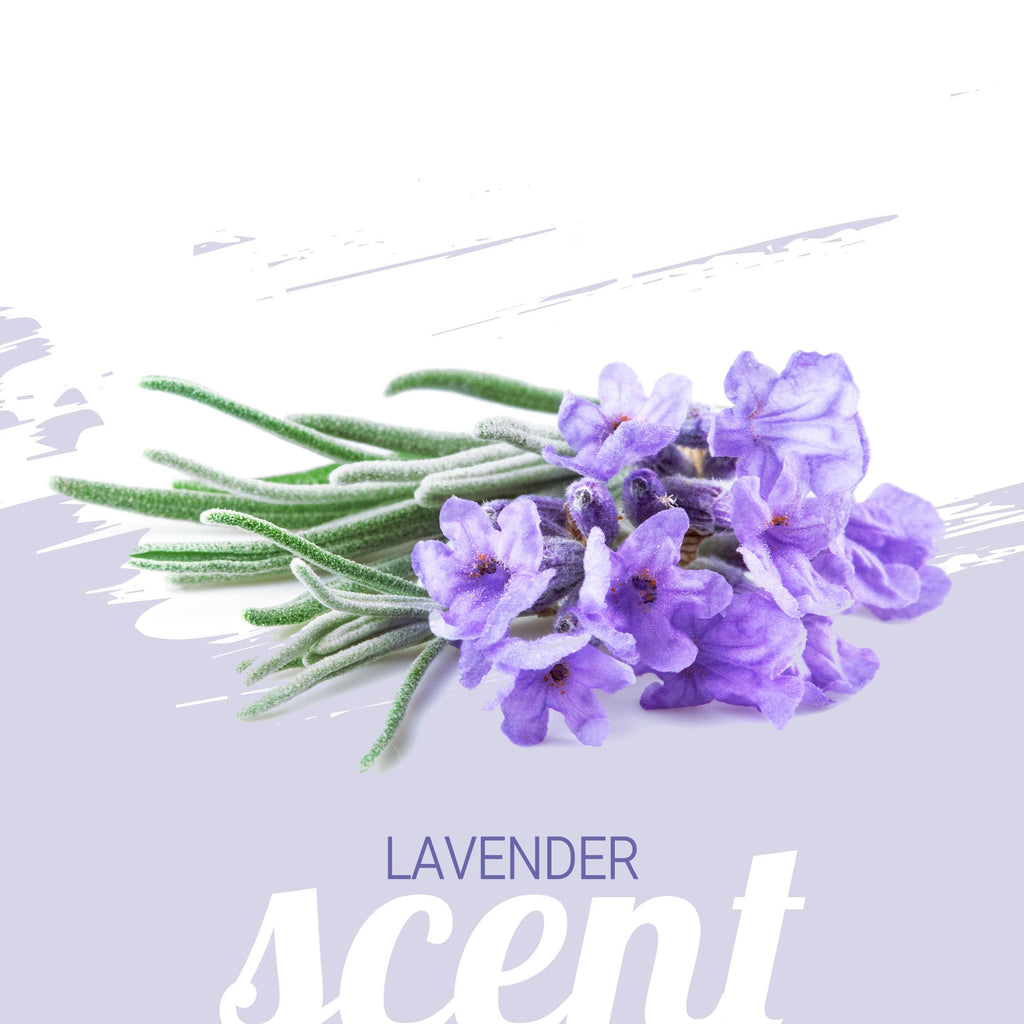 Lavender and Chamomile Calming Dog Shampoo, 1 Gallon R68113