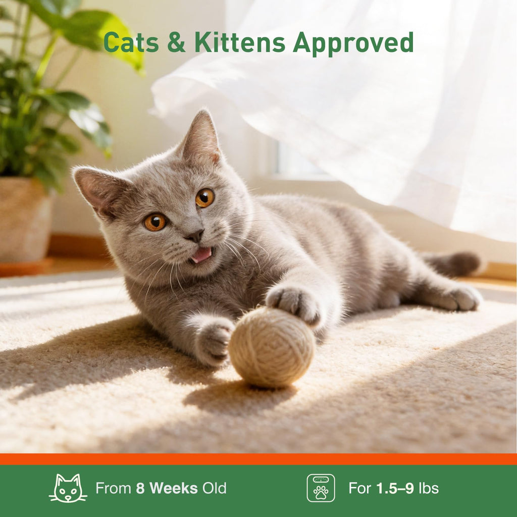 6 Pack Flea and Tick Prevention for Cats Y540360