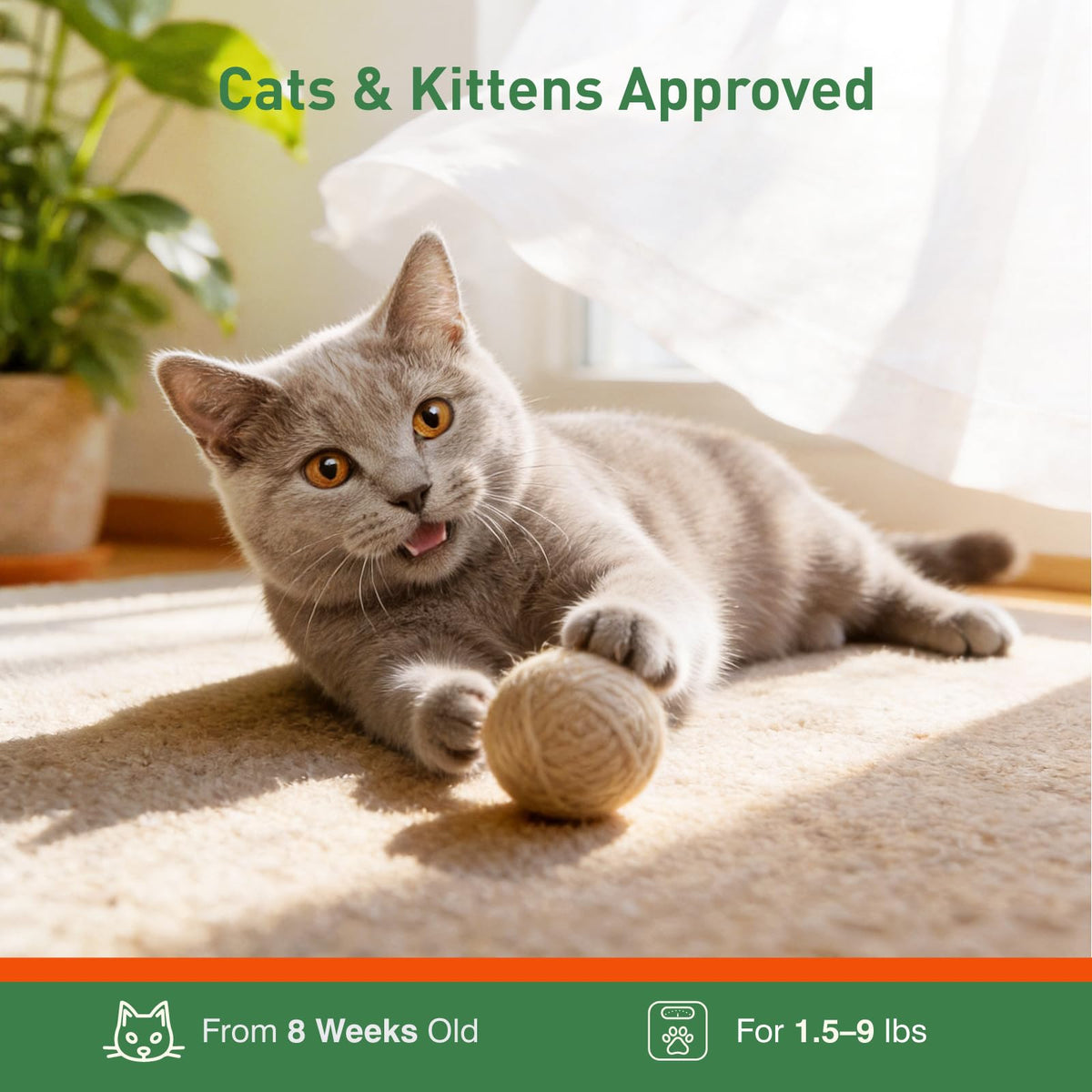 6 Pack Flea and Tick Prevention for Cats Y540360