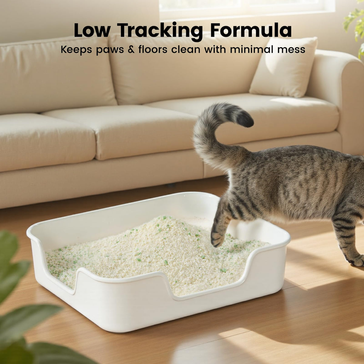 Cassava Cat Litter 18LBS B283580