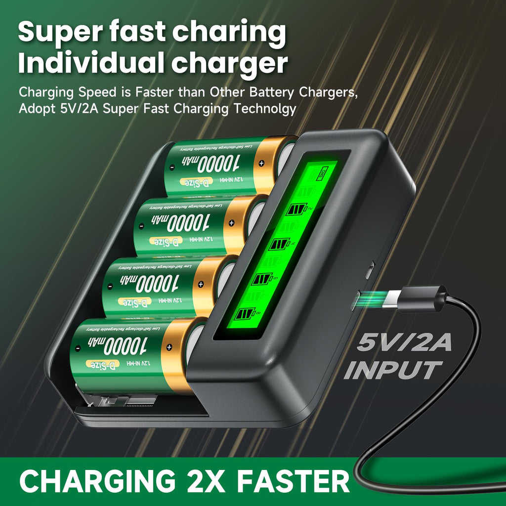 Rechargeable D Batteries with Charger W35350