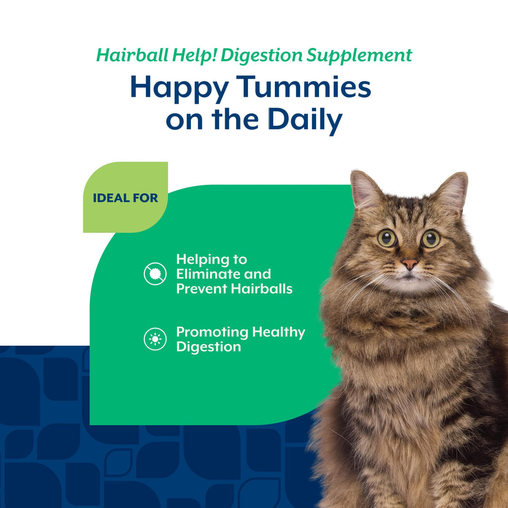 Hairball Aid Scoopable Supplement for Cats 5.5oz K2551