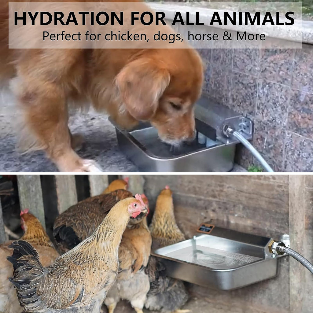 Large 304 Stainless Steel Automatic Chicken Water Dispenser P6856