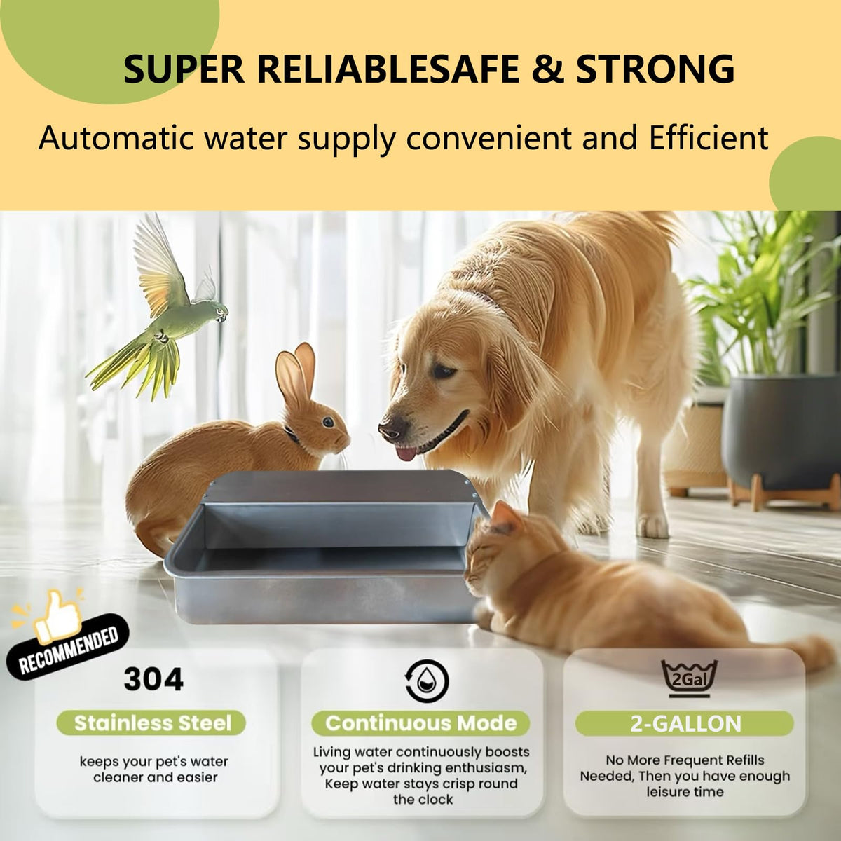 Large 304 Stainless Steel Automatic Chicken Water Dispenser P6856