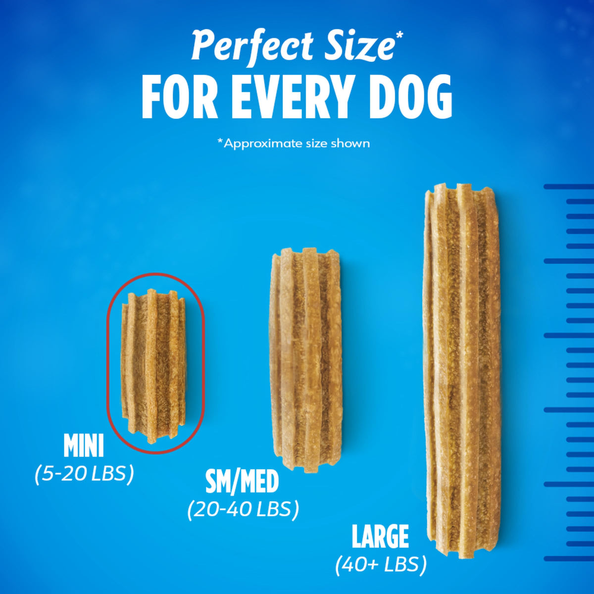 Daily Oral Care Dog Treats for Small Dogs, 58 ct K441
