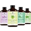 Lemongrass Peppermint Eucalyptus Lavender Essential Oil Set 4 Fl. Oz A985