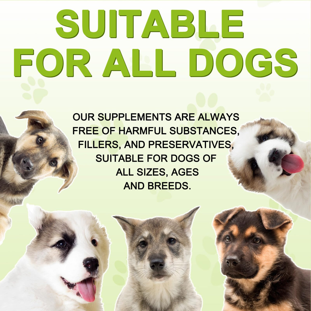 180 Chewable Milk Thistle Tablets for Dogs J44756