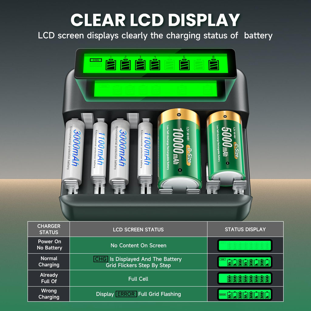 Rechargeable D Batteries with Charger W35350