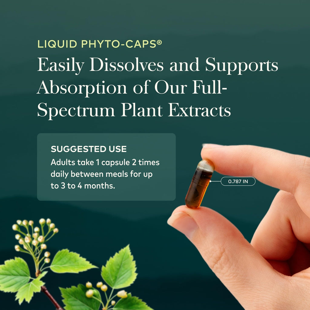60 Vegan Capsules Liver Cleanse Z200