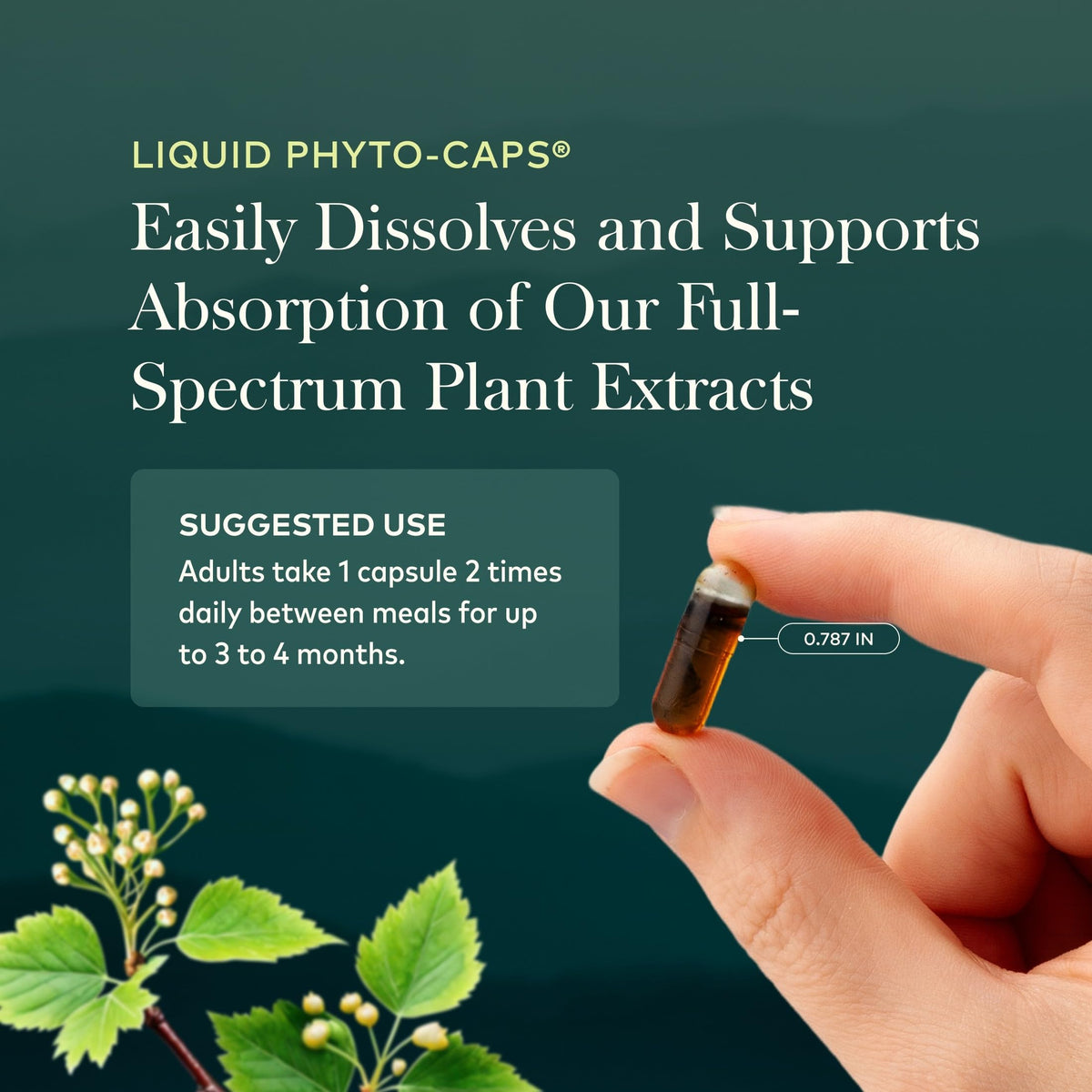 60 Vegan Capsules Liver Cleanse Z200