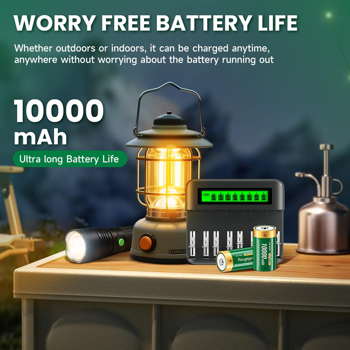 Rechargeable D Batteries with Charger W35350