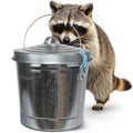 6 Gallon Galvanized Metal Trash Can with Lid Z742
