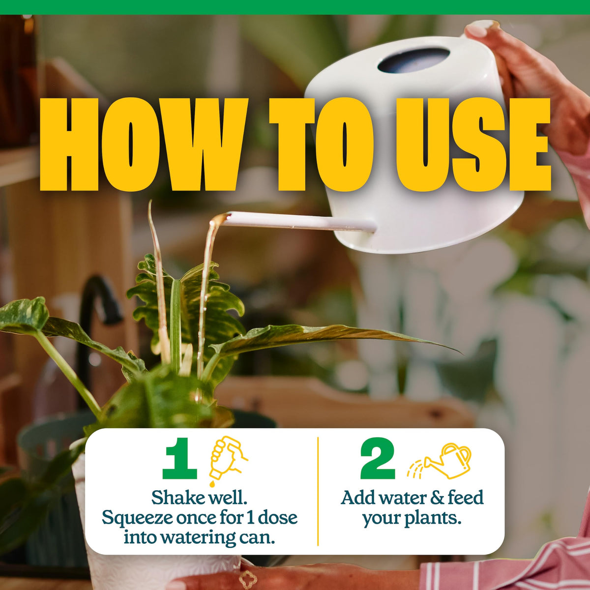 All-Purpose Plant Food 2-3-2, 32 Oz F765788