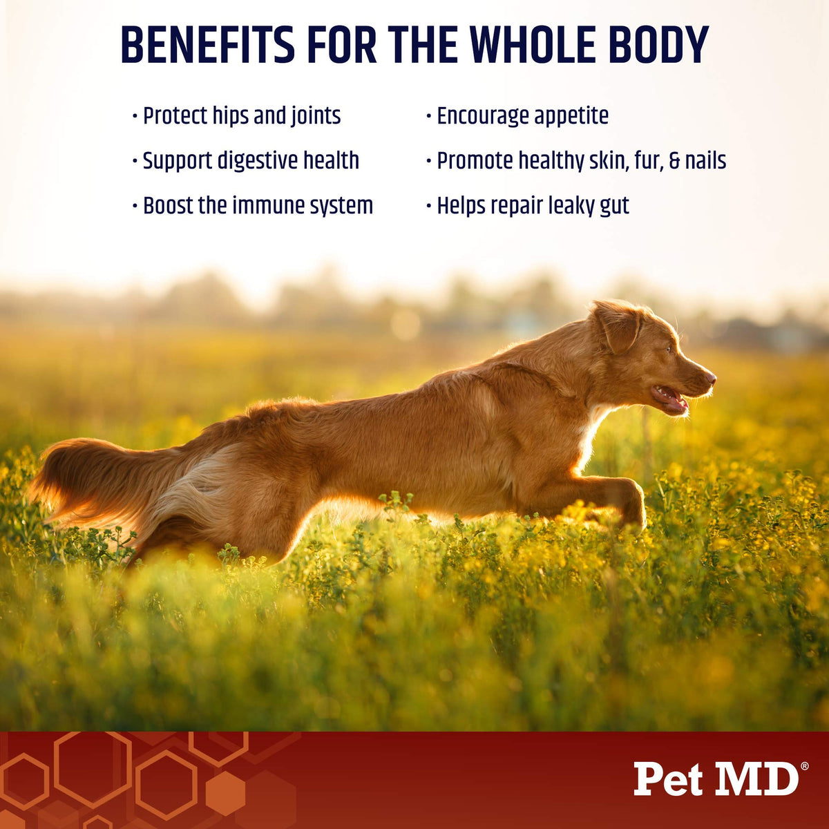 Bone Broth Powder Supplement & Peanut Butter Flavor Pill Paste R79503