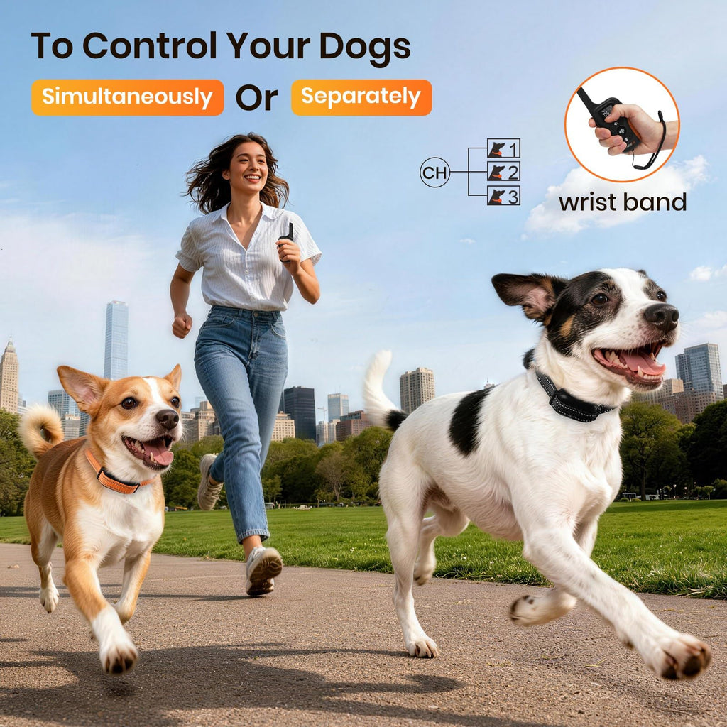 Vibration Collar with Controller for 2 Dogs, 3300ft Waterproof J3644