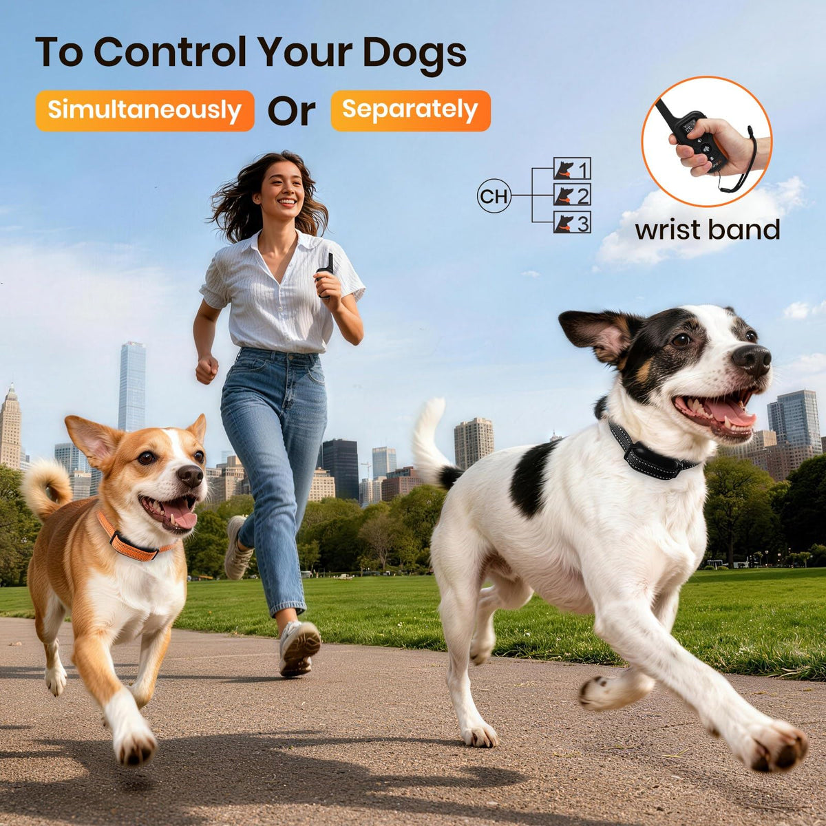 Vibration Collar with Controller for 2 Dogs, 3300ft Waterproof J3644