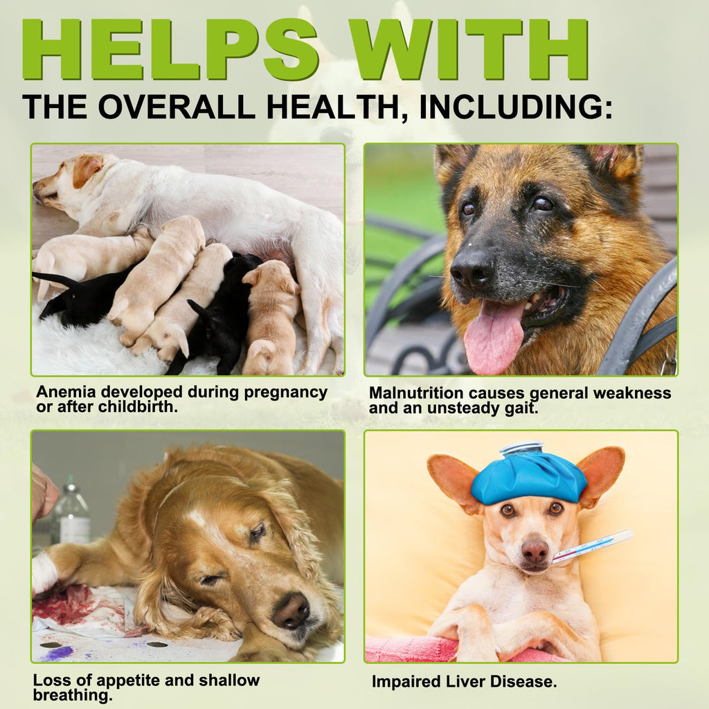 180 Chewable Milk Thistle Tablets for Dogs J44756