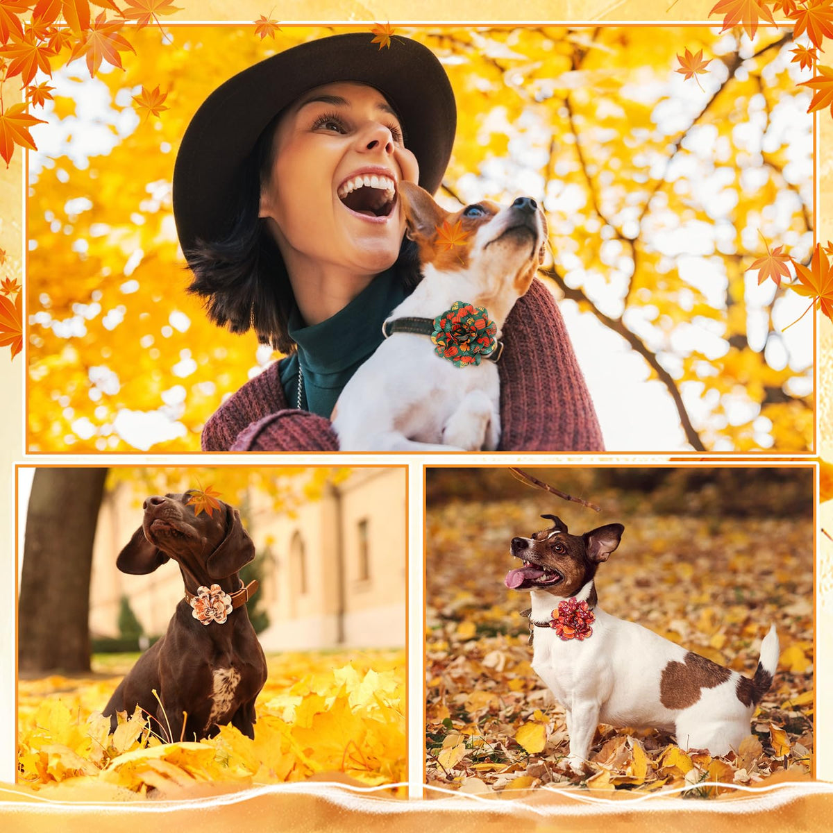 60 Pcs Fall Pet Bow J367899
