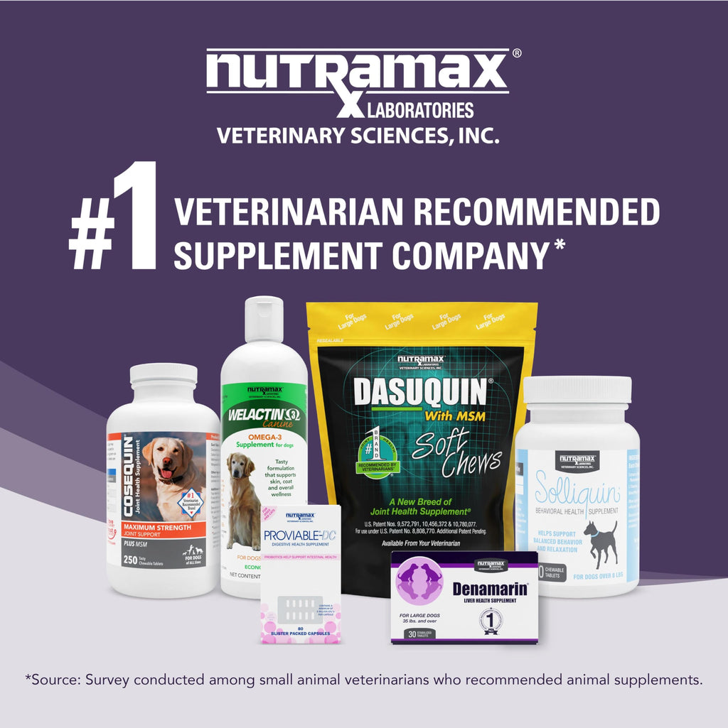 Liver Supplement for Medium Dogs, 30ct Tablets T93668