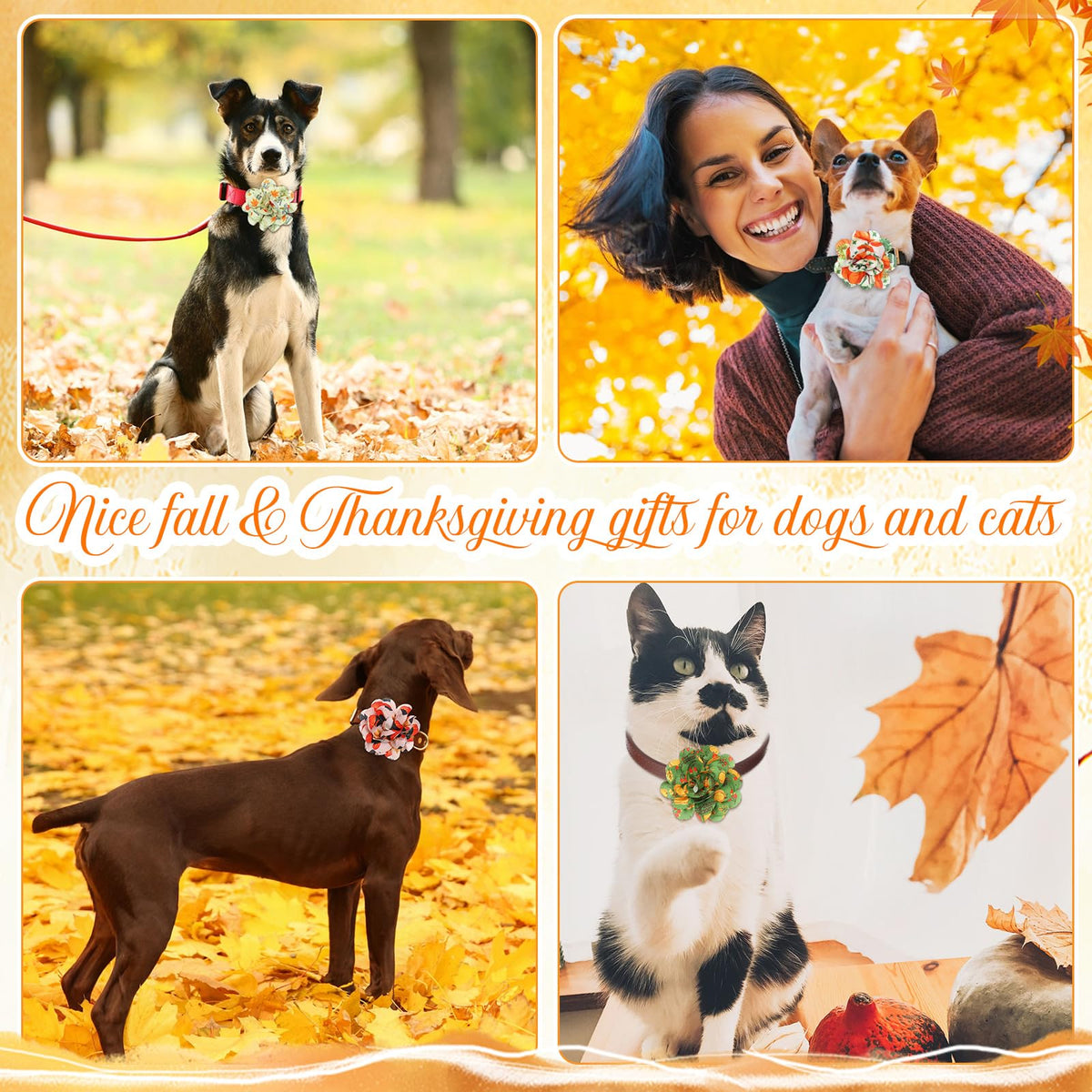 60 Pcs Fall Pet Bow J367899