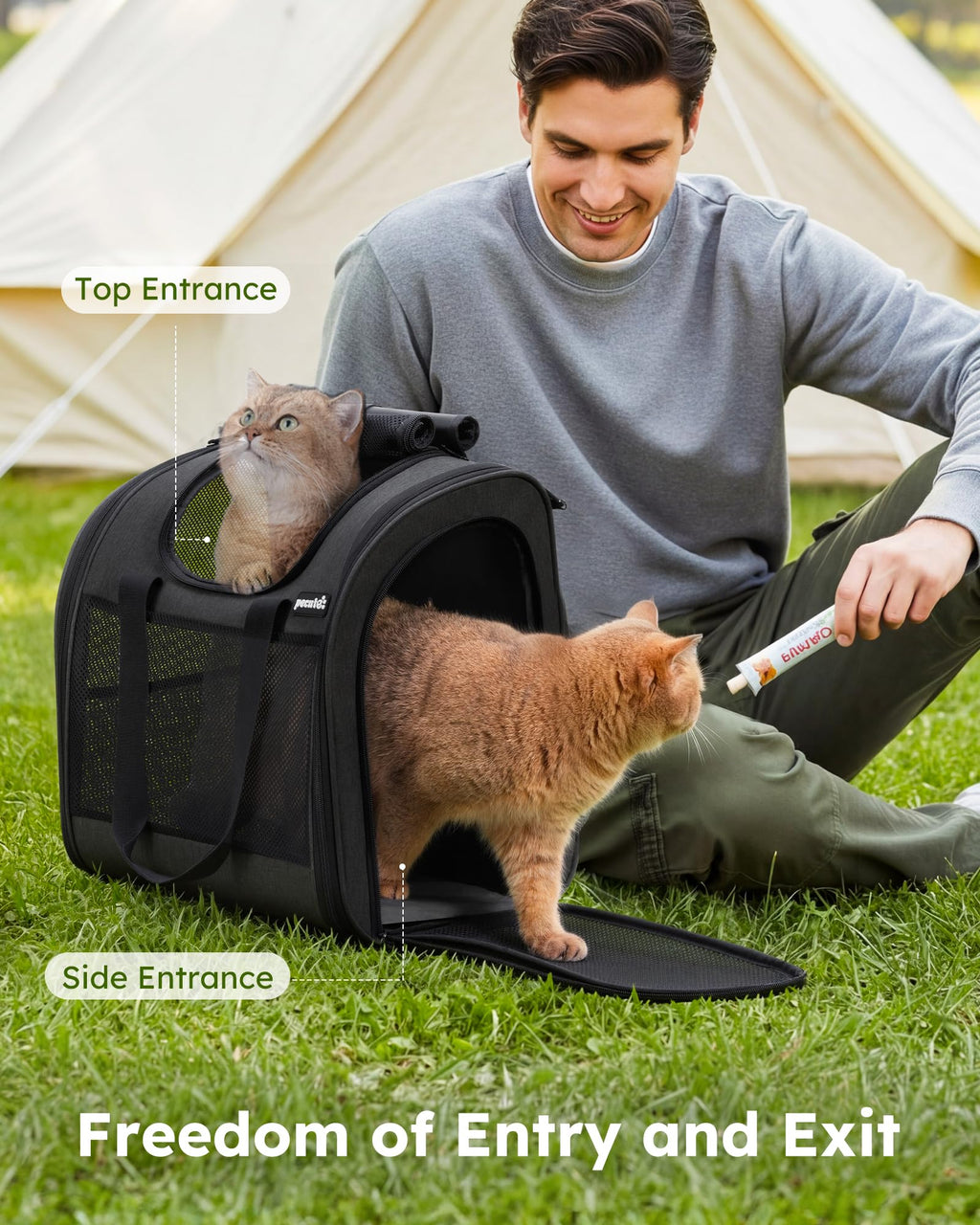 Dark Grey Cat Backpack with Breathable Mesh S246710