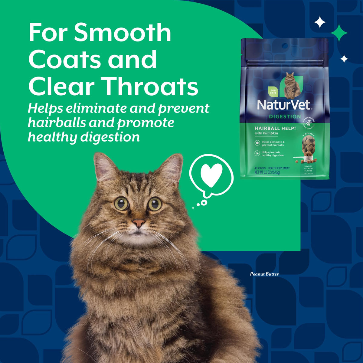 Hairball Aid Scoopable Supplement for Cats 5.5oz K2551
