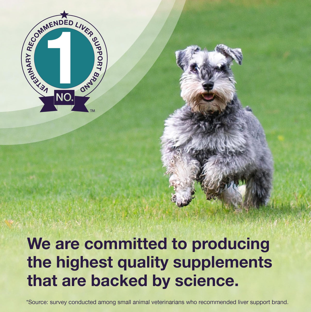 Liver Supplement for Medium Dogs, 30ct Tablets T93668