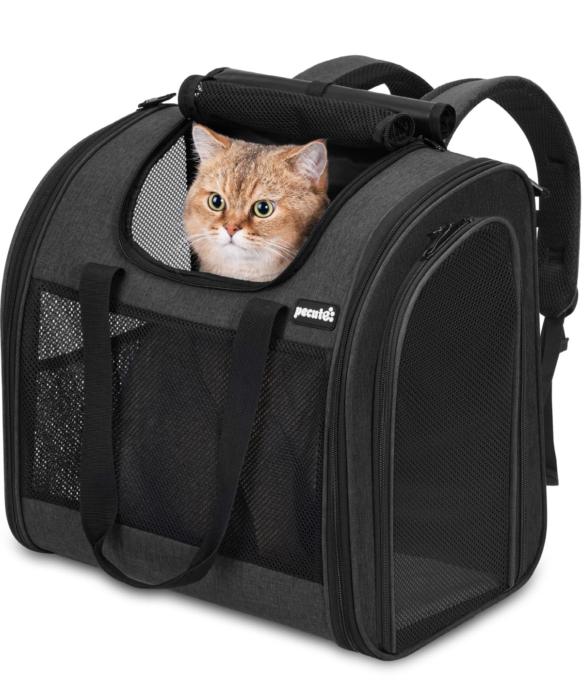 Dark Grey Cat Backpack with Breathable Mesh S246710