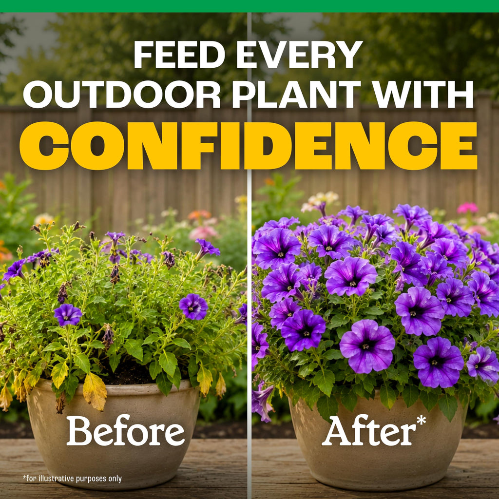 All-Purpose Plant Food 2-3-2, 32 Oz F765788