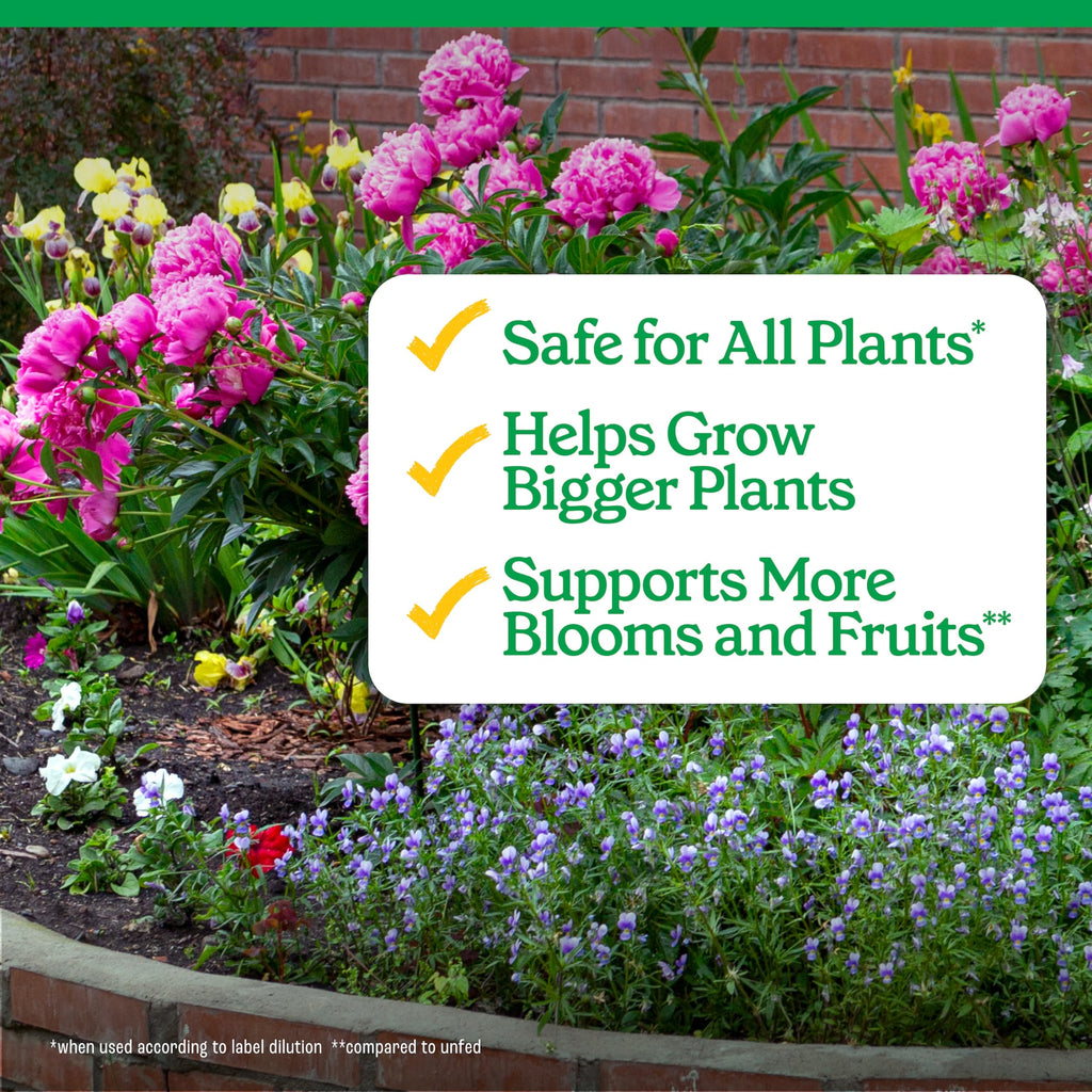 All-Purpose Plant Food 2-3-2, 32 Oz F765788