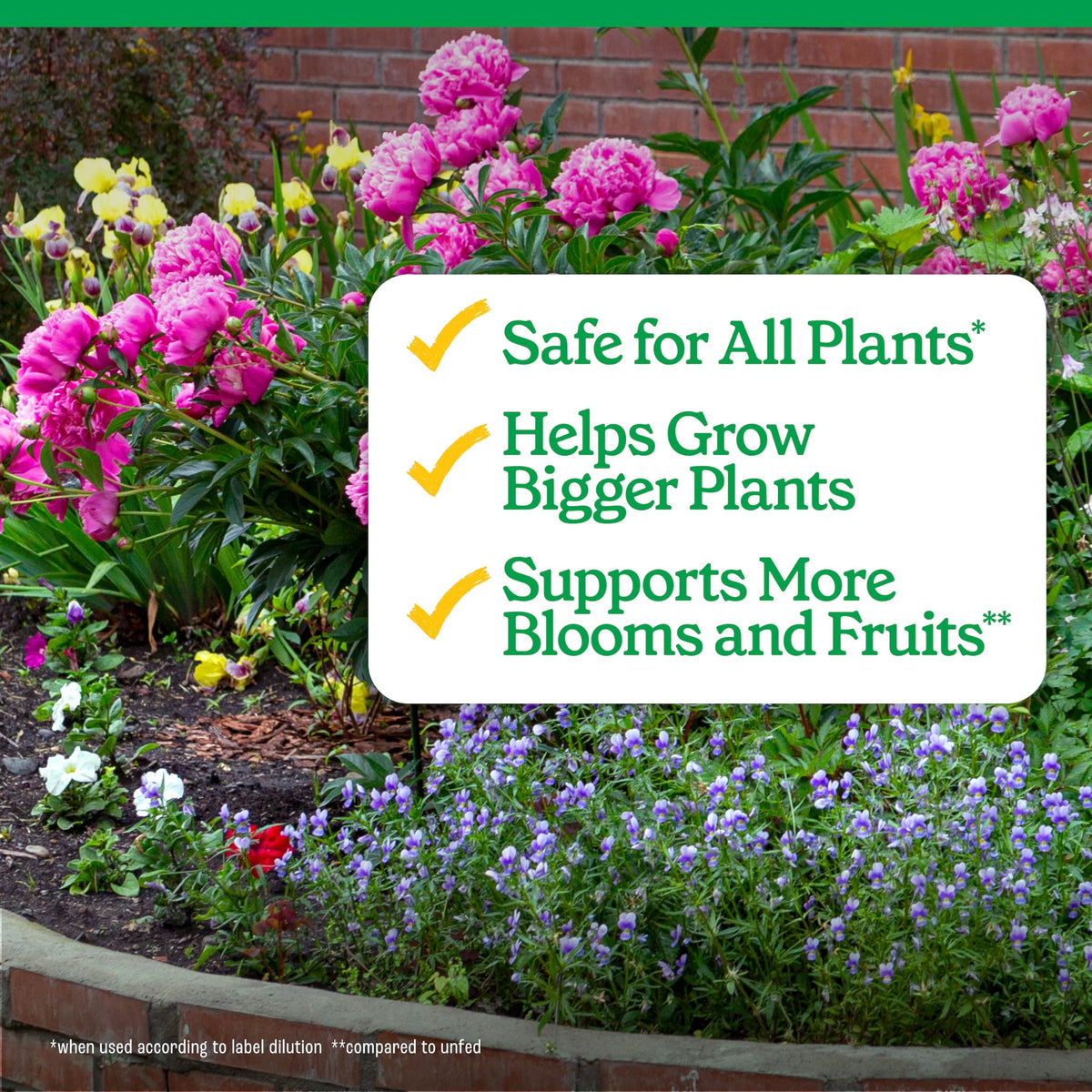 All-Purpose Plant Food 2-3-2, 32 Oz F765788