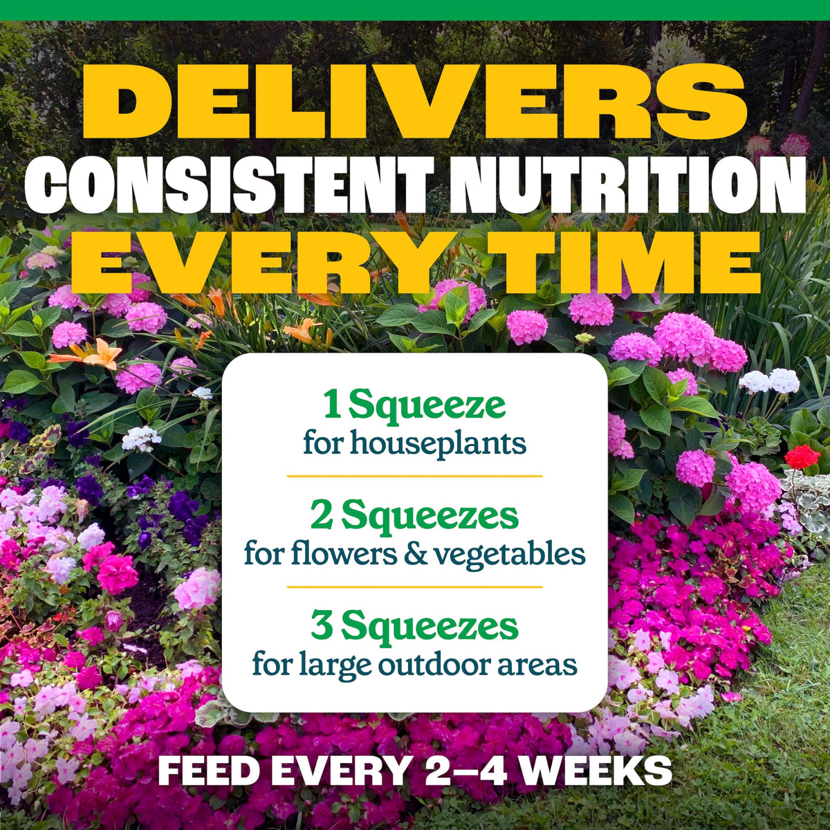 All-Purpose Plant Food 2-3-2, 32 Oz F765788