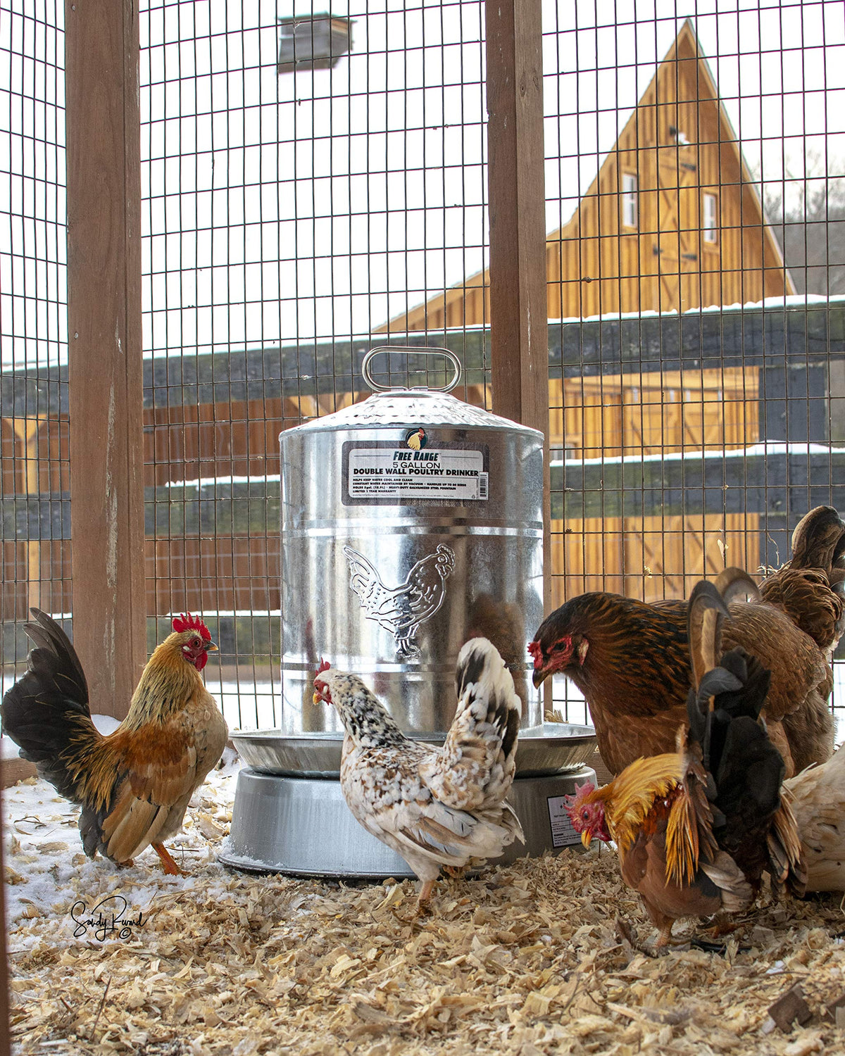Heated Poultry Drinker Base L7228