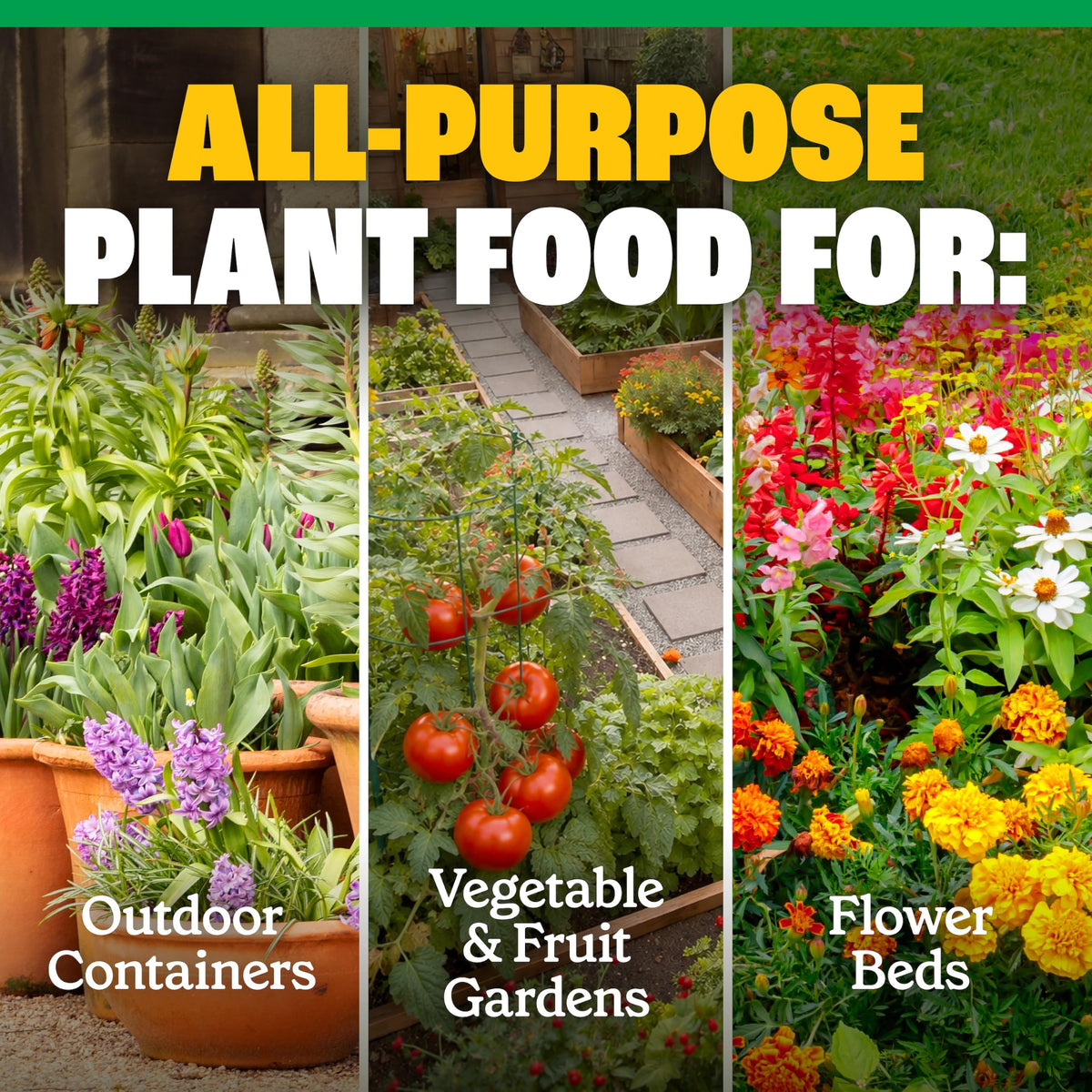 All-Purpose Plant Food 2-3-2, 32 Oz F765788