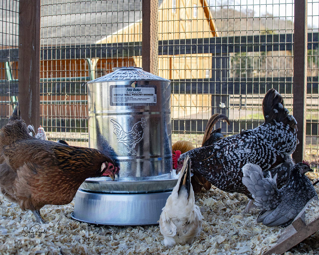 Heated Poultry Drinker Base L7228